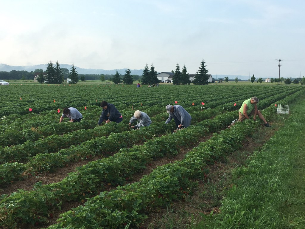 June 13, 2017&nbsp;Update