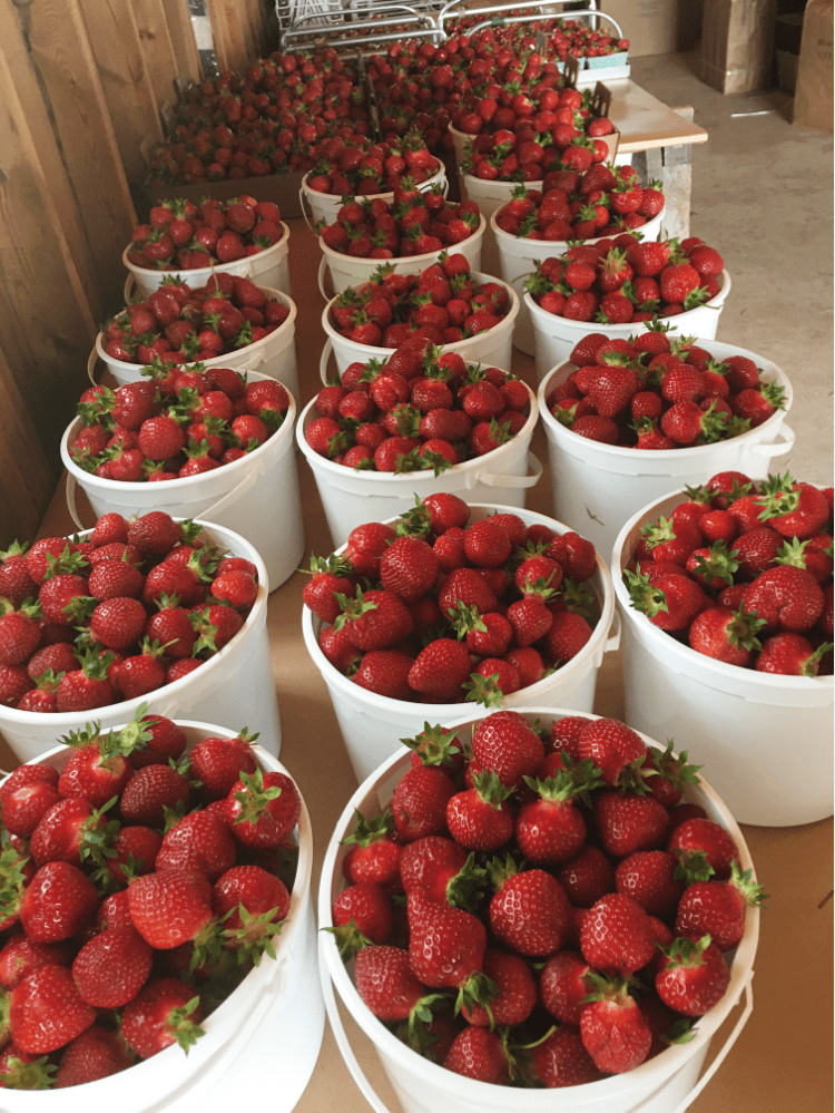 June 12, 2017&nbsp;Update