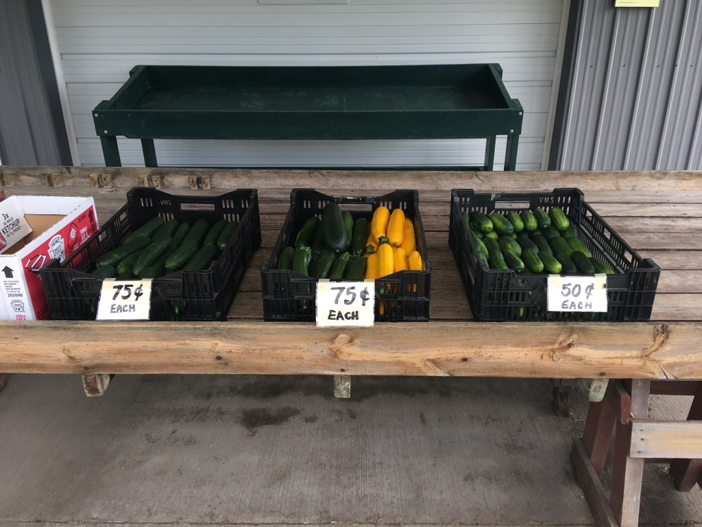 July 19, 2017&nbsp;Update