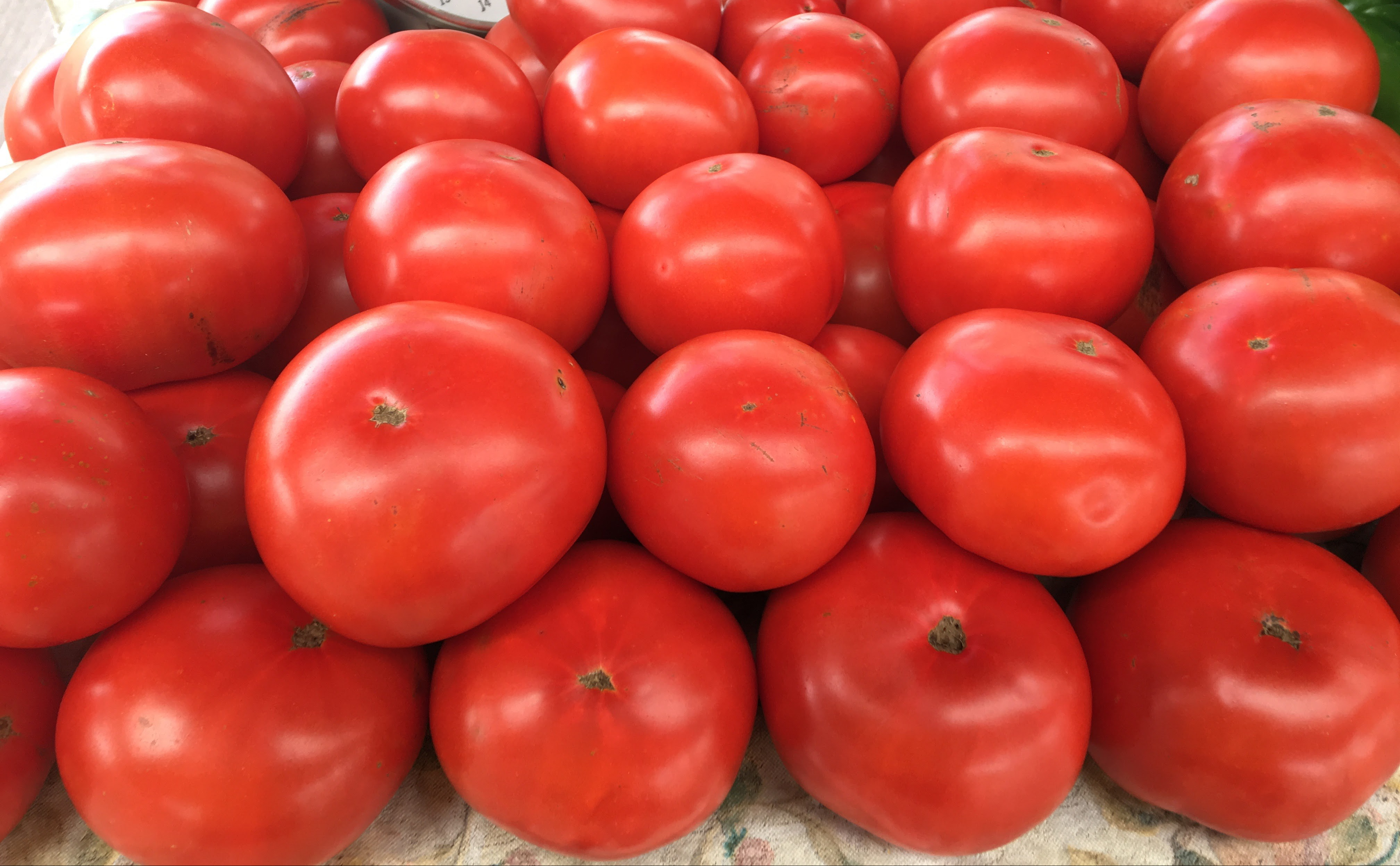 Market Tomatoes