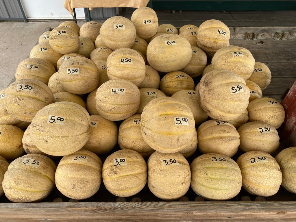 Muskmelon Season is&nbsp;Here!