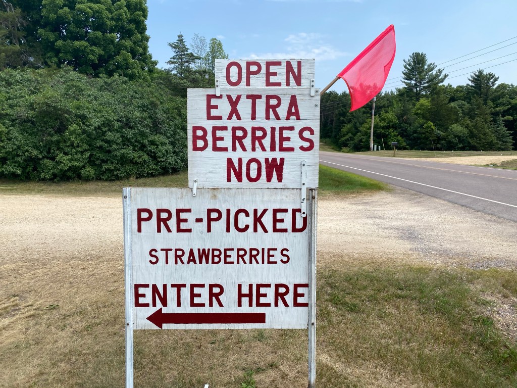 (Update: Sold Out for Today) Extra Pre-Picked Berries Today!&nbsp;🍓🍓🍓
