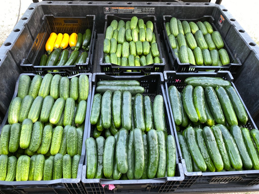 Opening Day at our Roadside Stand in Arkansaw&nbsp;(7/10)