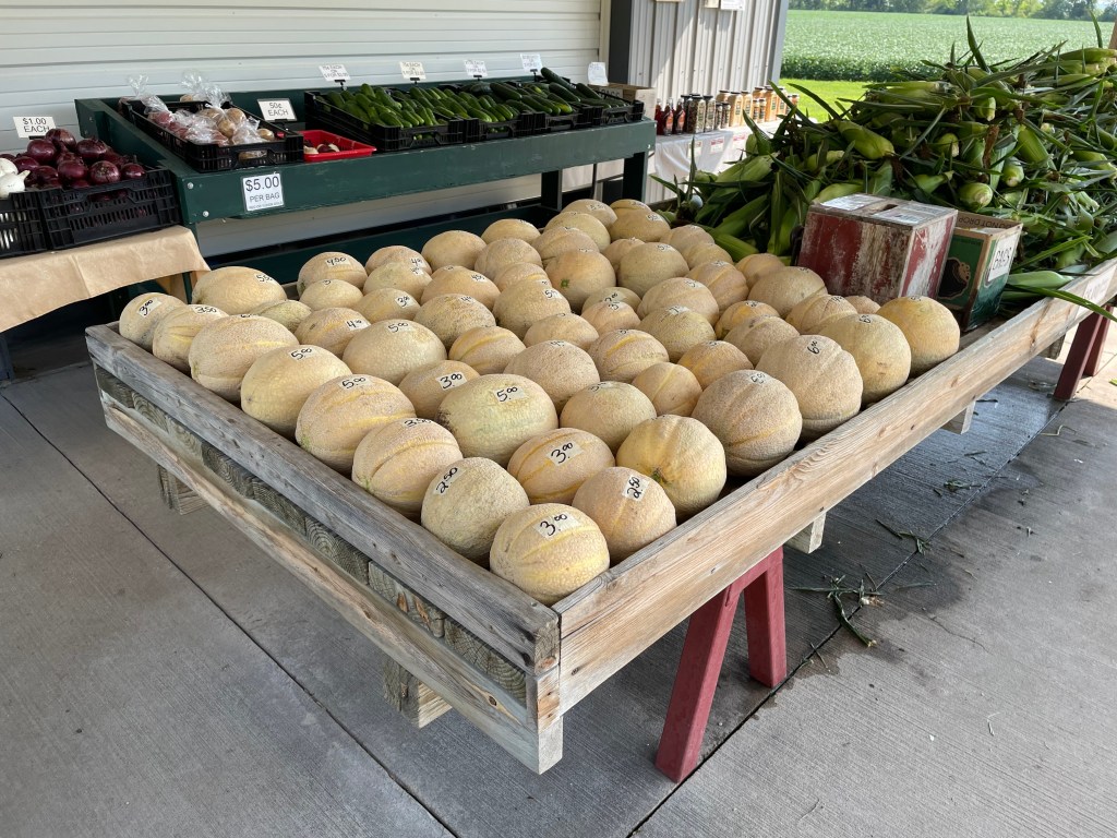 Produce Update August 8, 2023 (PRIME MUSKMELON SEASON!&nbsp;)