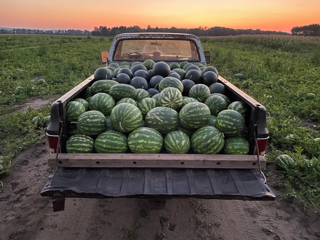 Produce Update August 22,&nbsp;2023