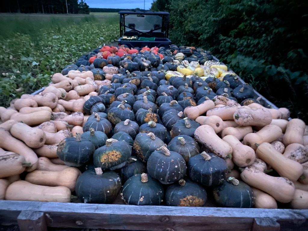 Produce Update September 12,&nbsp;2023