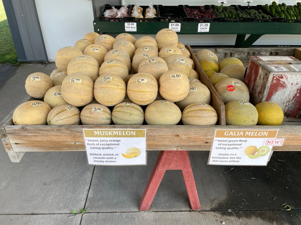 Produce Update August 26, 2024 (Peak Muskmelon Season!&nbsp;🍈)