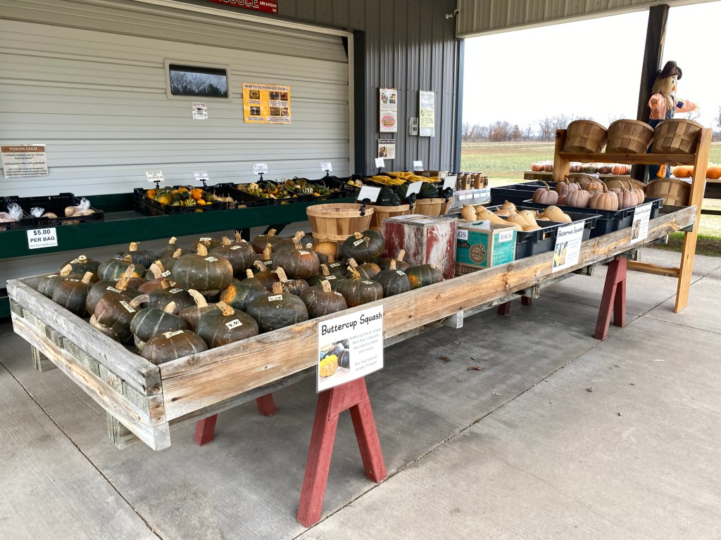 Final Days of the Season (Last Day Sunday&nbsp;11/24)