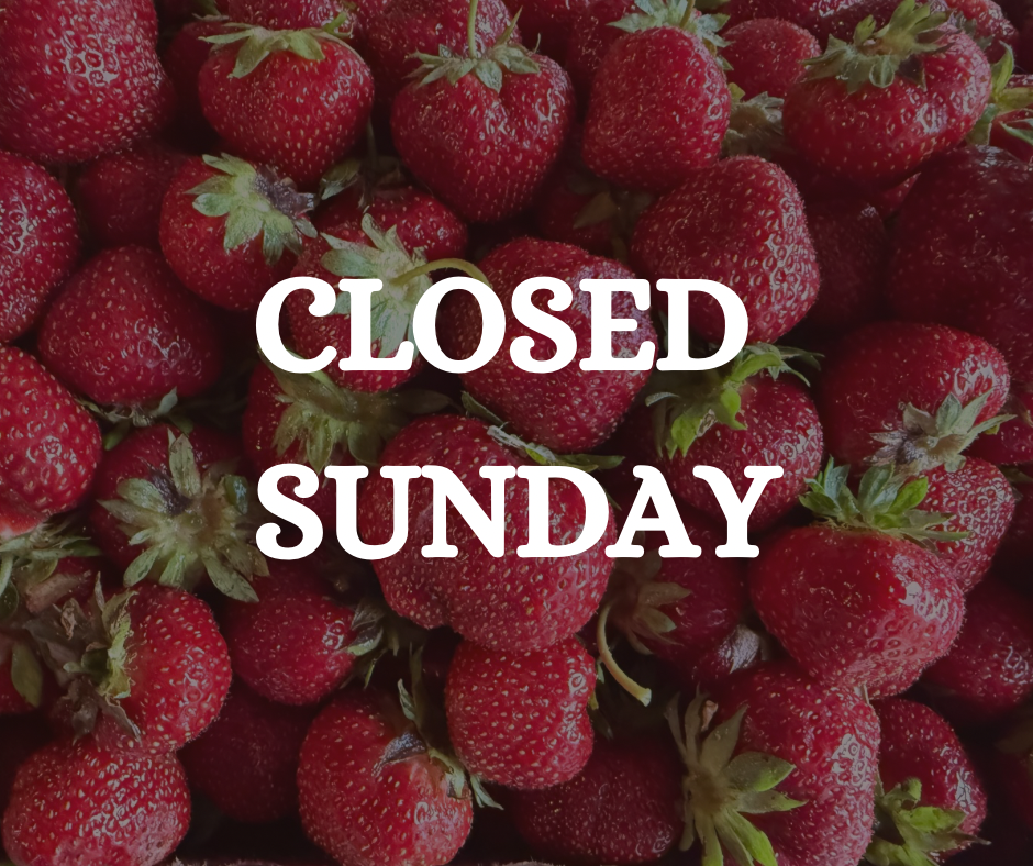 Strawberry Update June 28,&nbsp;2025