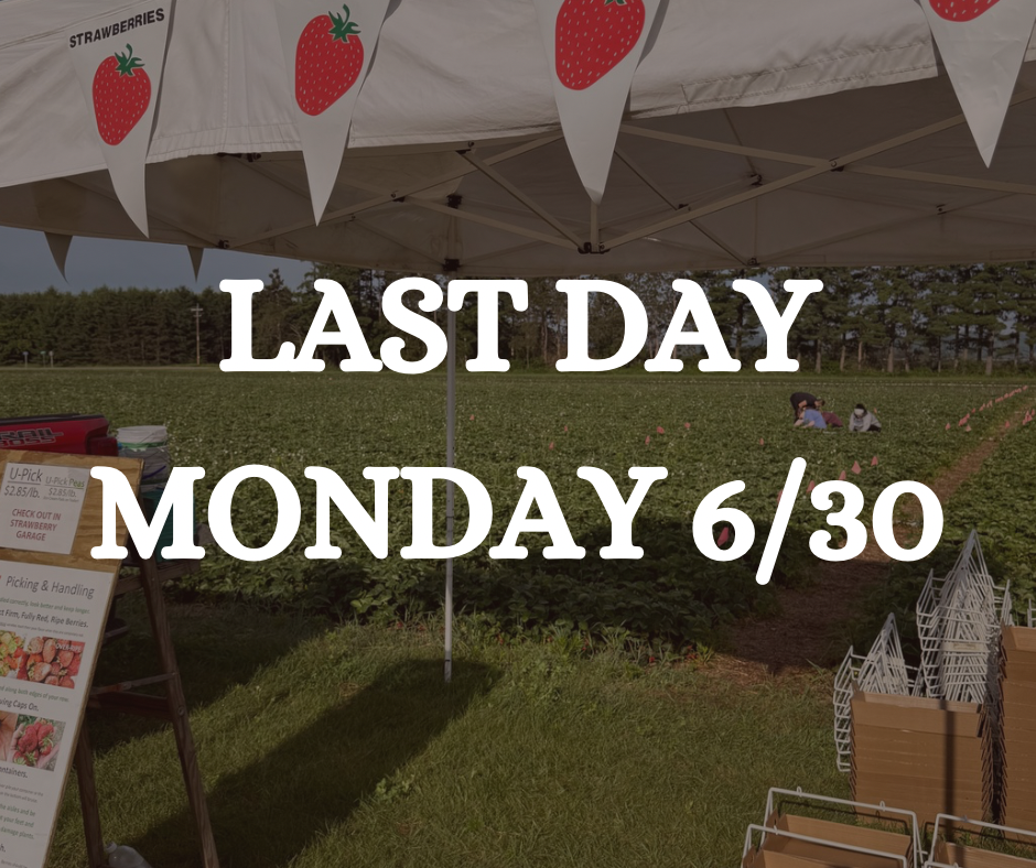 Strawberry Update June 29,&nbsp;2025