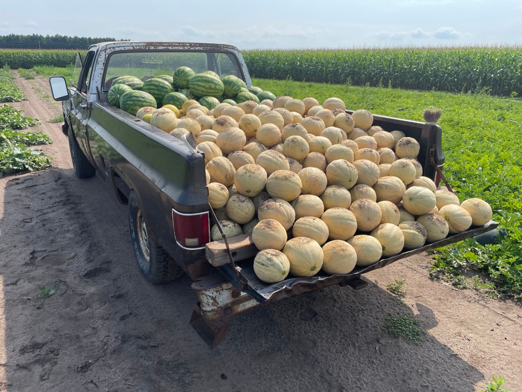 Produce Update August 20, 2025 (Peak Muskmelon&nbsp;Season!!)