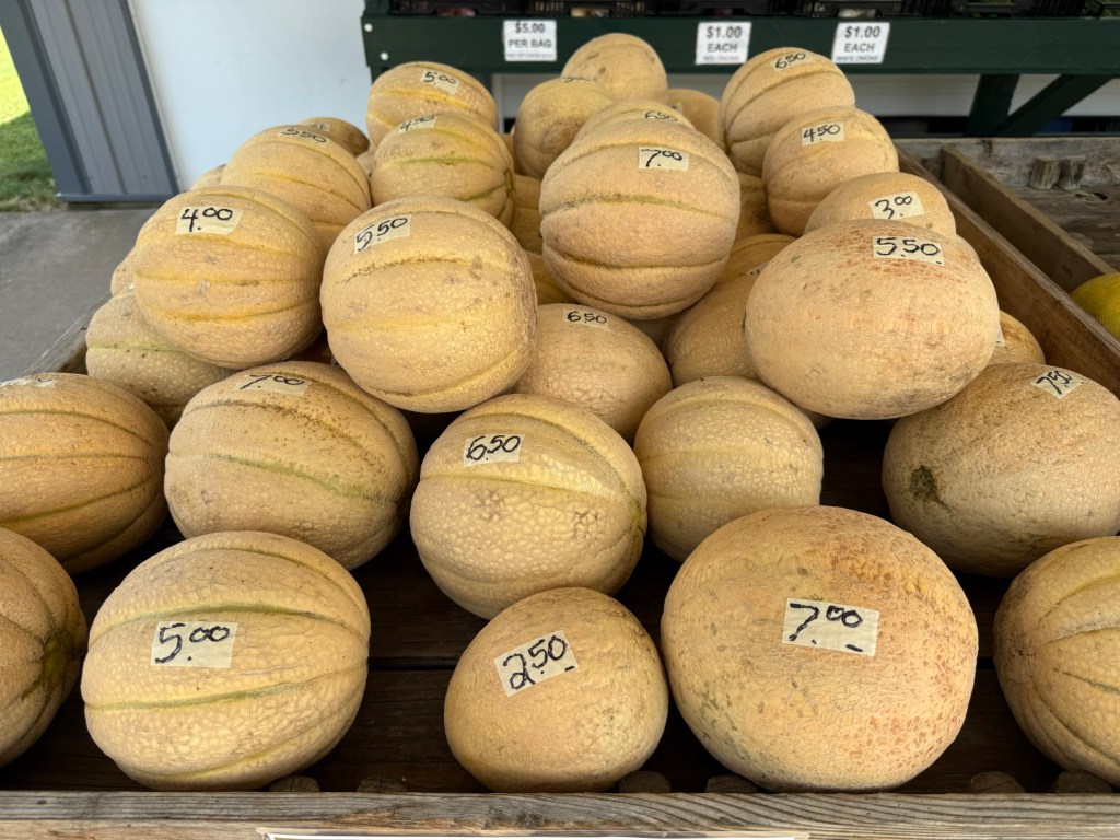 Produce Update August 12,&nbsp;2025