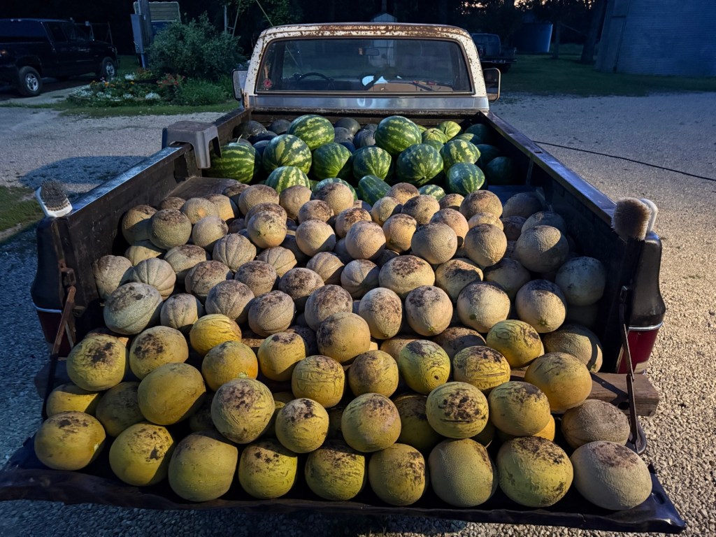 Produce Update August 26,&nbsp;2025