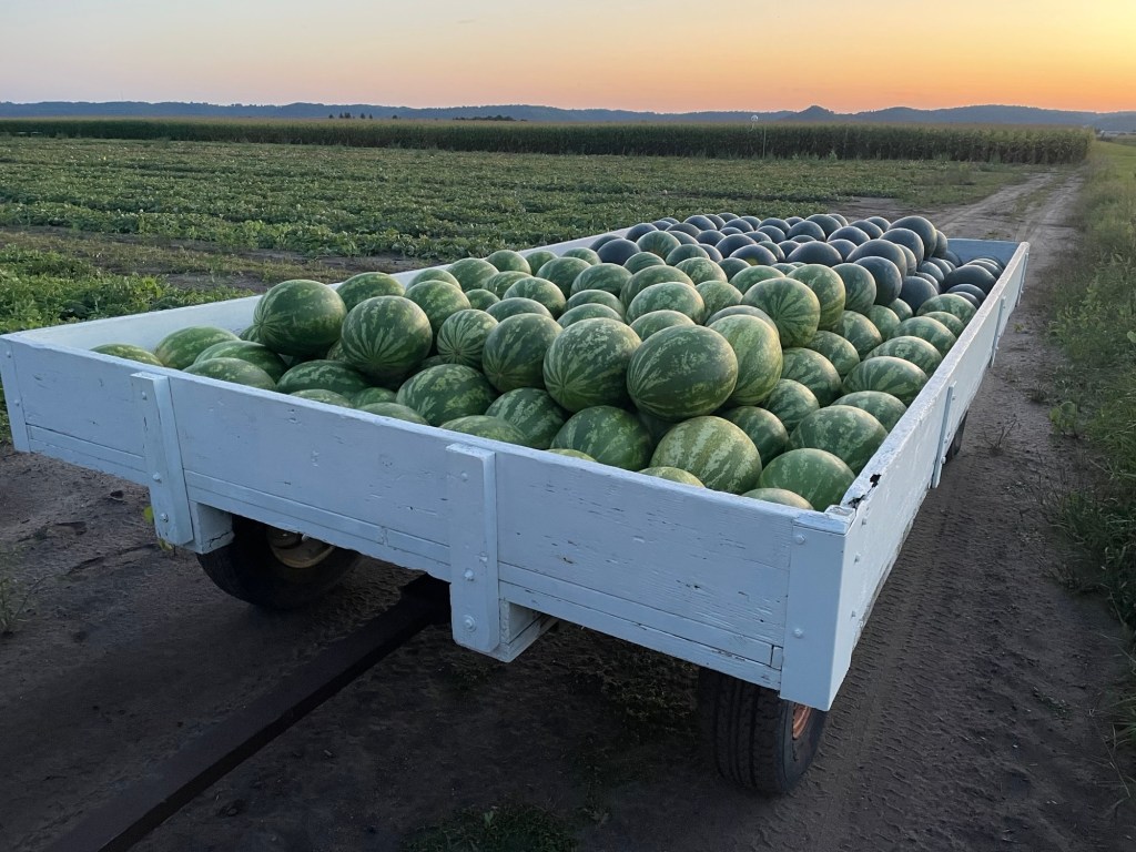 Produce Update September 9, 2025 (Peak Watermelon&nbsp;Season!)