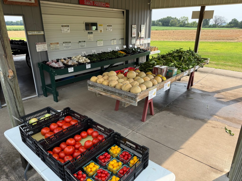 Produce Update August 4, 2026